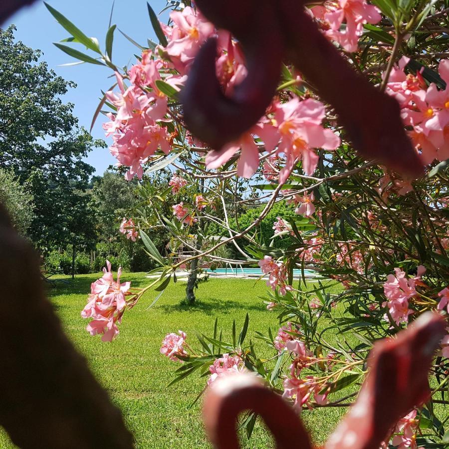 Casa Pilar Villa คาปานโนริ ภายนอก รูปภาพ